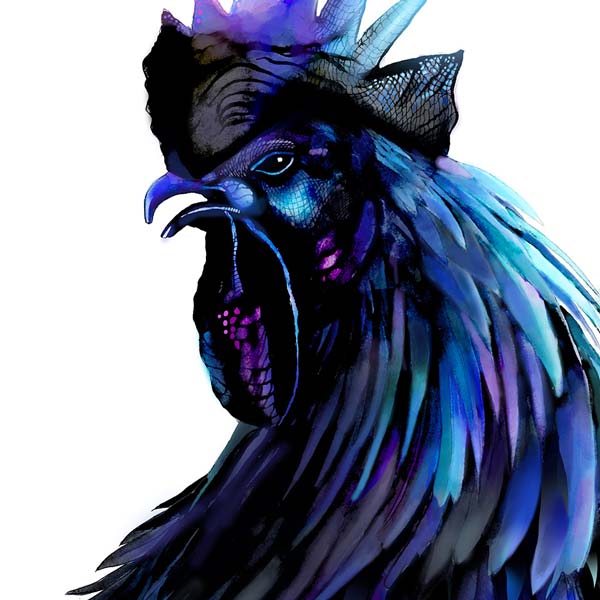 Alinagermanroosters icon